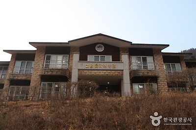 국립 남해편백자연휴양림 사진7