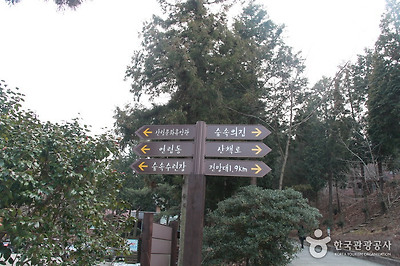 국립 남해편백자연휴양림 사진14