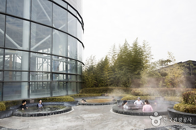 사상 체질에 맞춰 이용할 수 있는 포도탕, 산수유탕, 오미자탕, 쑥탕, 복숭아탕