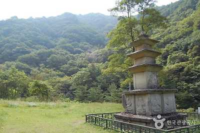 국립 미천골자연휴양림 사진10