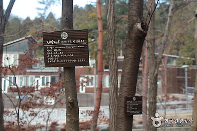 국립 남해편백자연휴양림 사진10