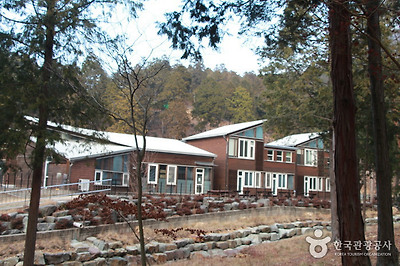 국립 남해편백자연휴양림 사진9