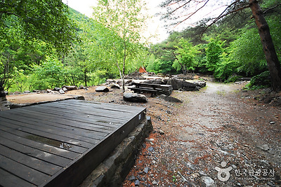 국립 가리왕산자연휴양림 사진4