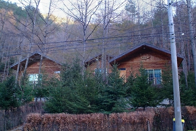 국립 통고산자연휴양림 사진2