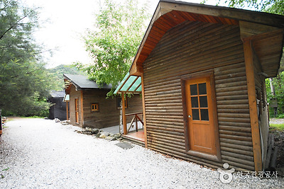 국립 가리왕산자연휴양림 사진5