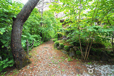 국립 가리왕산자연휴양림 사진20