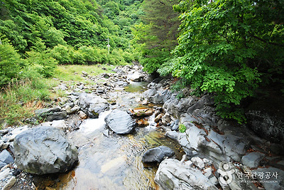 국립 가리왕산자연휴양림 사진3