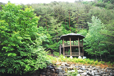 국립 가리왕산자연휴양림 사진2