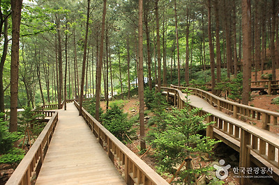 국립 산음자연휴양림 사진6
