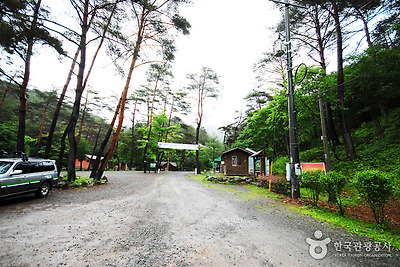 국립 검마산자연휴양림 사진2