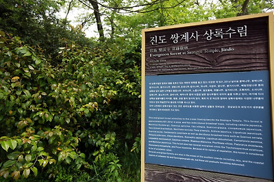 쌍계사 옆에 세워둔 상록수림 안내판