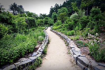 국립수목원의 산책길