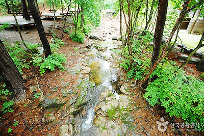 국립 검마산자연휴양림 사진5