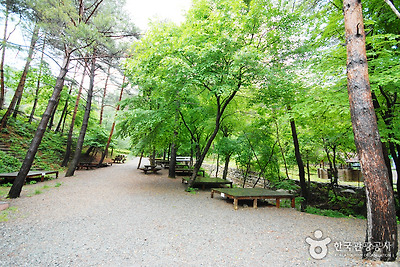 국립 검마산자연휴양림 사진6