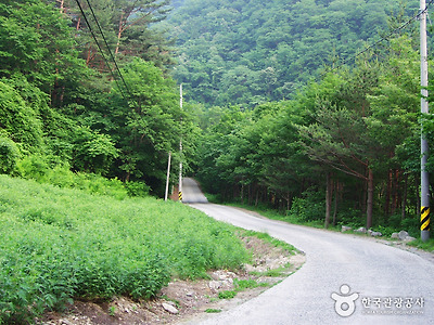 국립 미천골자연휴양림 사진9