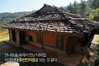 잣나무 숲 속에서 만난 너와집. 1970년대 화전민 마을을 보는 것 같다.