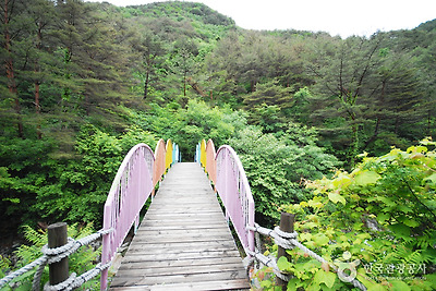 국립 가리왕산자연휴양림 사진11