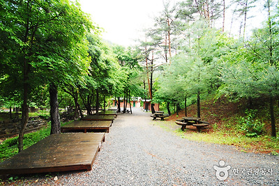 국립 검마산자연휴양림 사진7