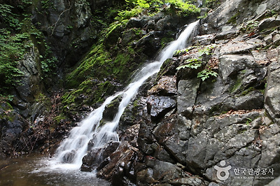 힘이 불끈 솟는 불바라기 약수 한 사발 하러 갑시다!