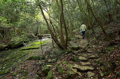 계곡을 따라 이어진 호젓한 등산로