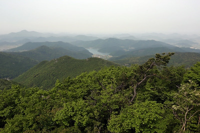 첨찰산 정상에서 바라본 운림산방 일대