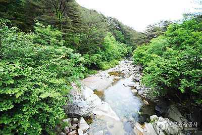 국립 가리왕산자연휴양림 사진9
