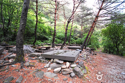 국립 가리왕산자연휴양림 사진8