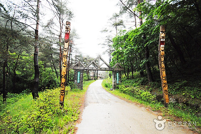 국립 검마산자연휴양림 사진8