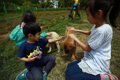 방사장에서 강아지를 만져보는 아이들
