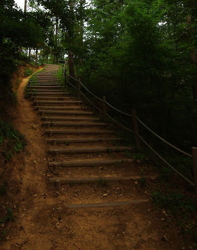 오르막길에 놓은 나무 계단