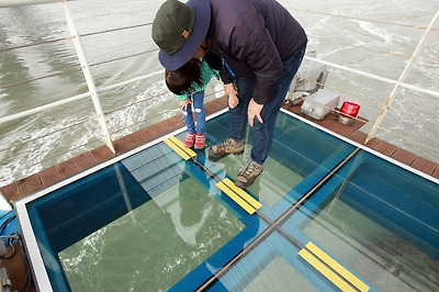 유리 바닥 아래 회오리 물살을 관찰하는 울돌목 물살체험장