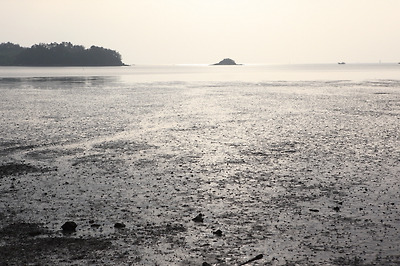 육달천에서 바라본 섬달천 일부와 새섬