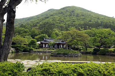 운림산방 뒤로 상록수림과 첨찰산이 보인다.