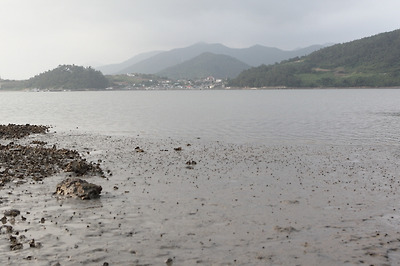 섬달천에서 바라본 육달천 마을