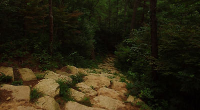 기찬묏길. 돌계단. 길은 정비가 잘 됐다.