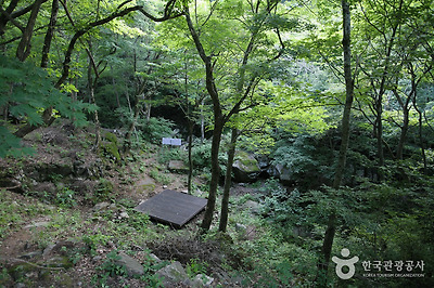 국립 지리산자연휴양림 사진7