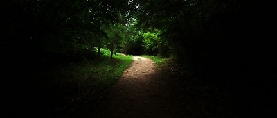 깊은 산속 길은 아니지만 간혹 우거진 숲길도 있다