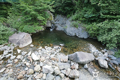 국립 지리산자연휴양림 사진6