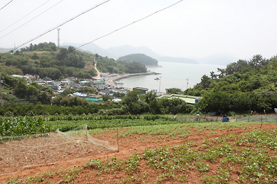 섬달천 완만한 구릉에서 바라본 마을 풍경