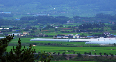 녹색의 시골마을 풍경이 아름답다.