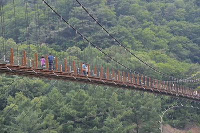 아래서 올려다본 좌구산명상구름다리