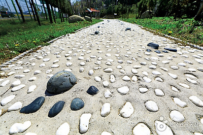 산책로의 발바닥 지압길