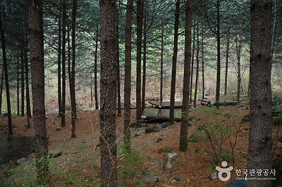 국립 산음자연휴양림 사진4