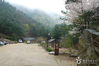 국립 산음자연휴양림 사진5