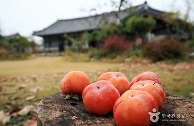 삼지천슬로시티마을