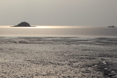 섬달천 옆 새섬과 갯벌