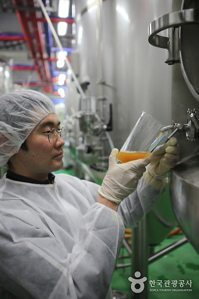 완성된 맥주를 맛보려는 직원