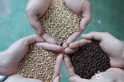 맥주의 원료가 되는 맥아. 주로 생보리를 미지근한 물에서 싹틔운 뒤 로스팅한 것을 말한다.