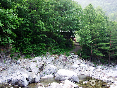 국립 미천골자연휴양림 사진8