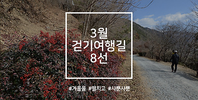 3월 걷기여행길 8선 기나긴 겨울잠을 자던 개구리가 깨어나는 경칩에 어울리는 길로 8곳이 선정
